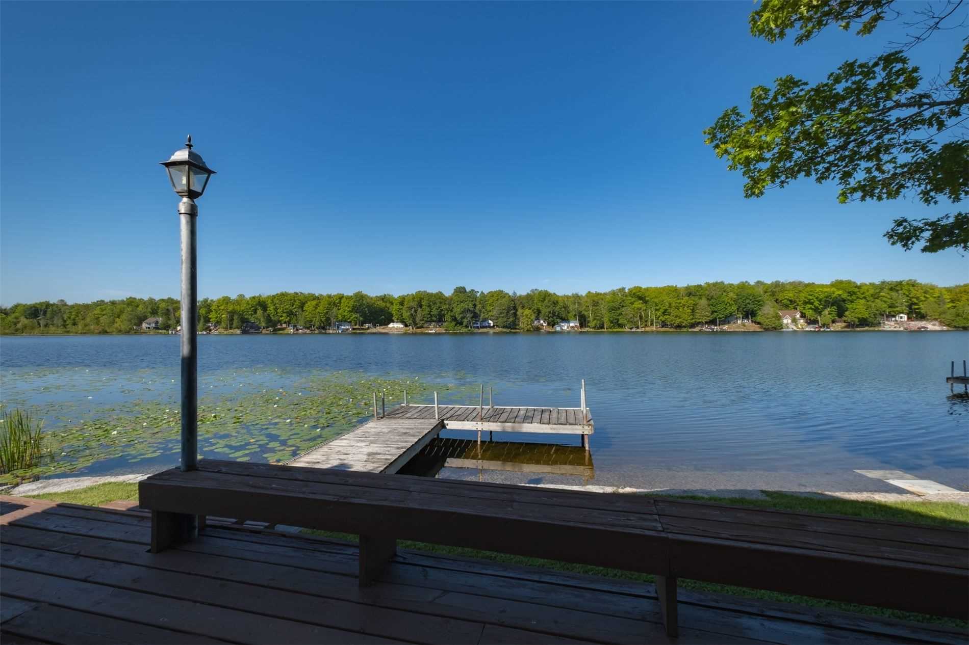 Listing X5740360 - Large Photo # 5
