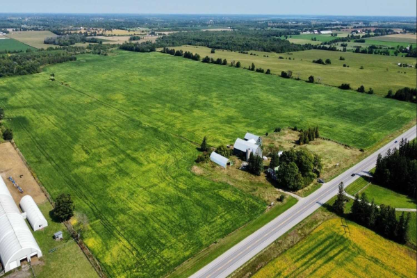 1305 Highway 7 Rd, Kawartha Lakes