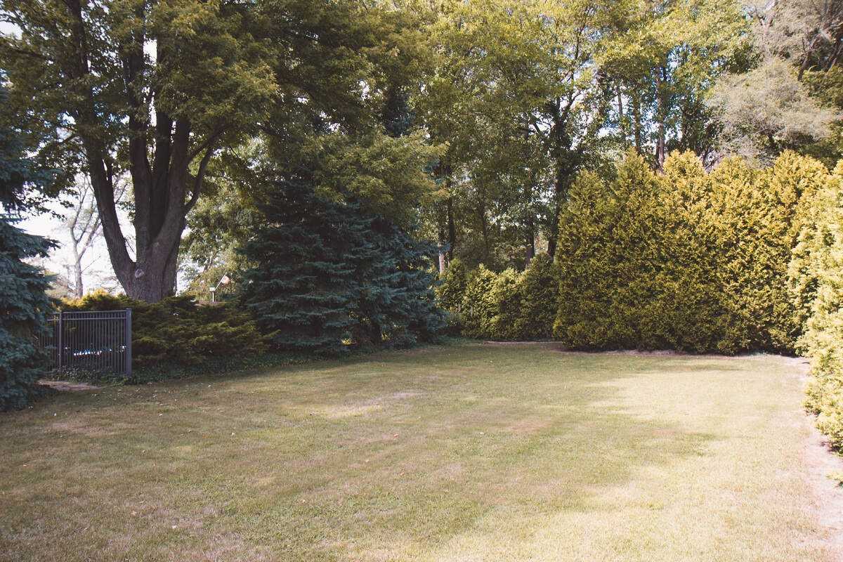 Listing X5756343 - Large Photo # 7