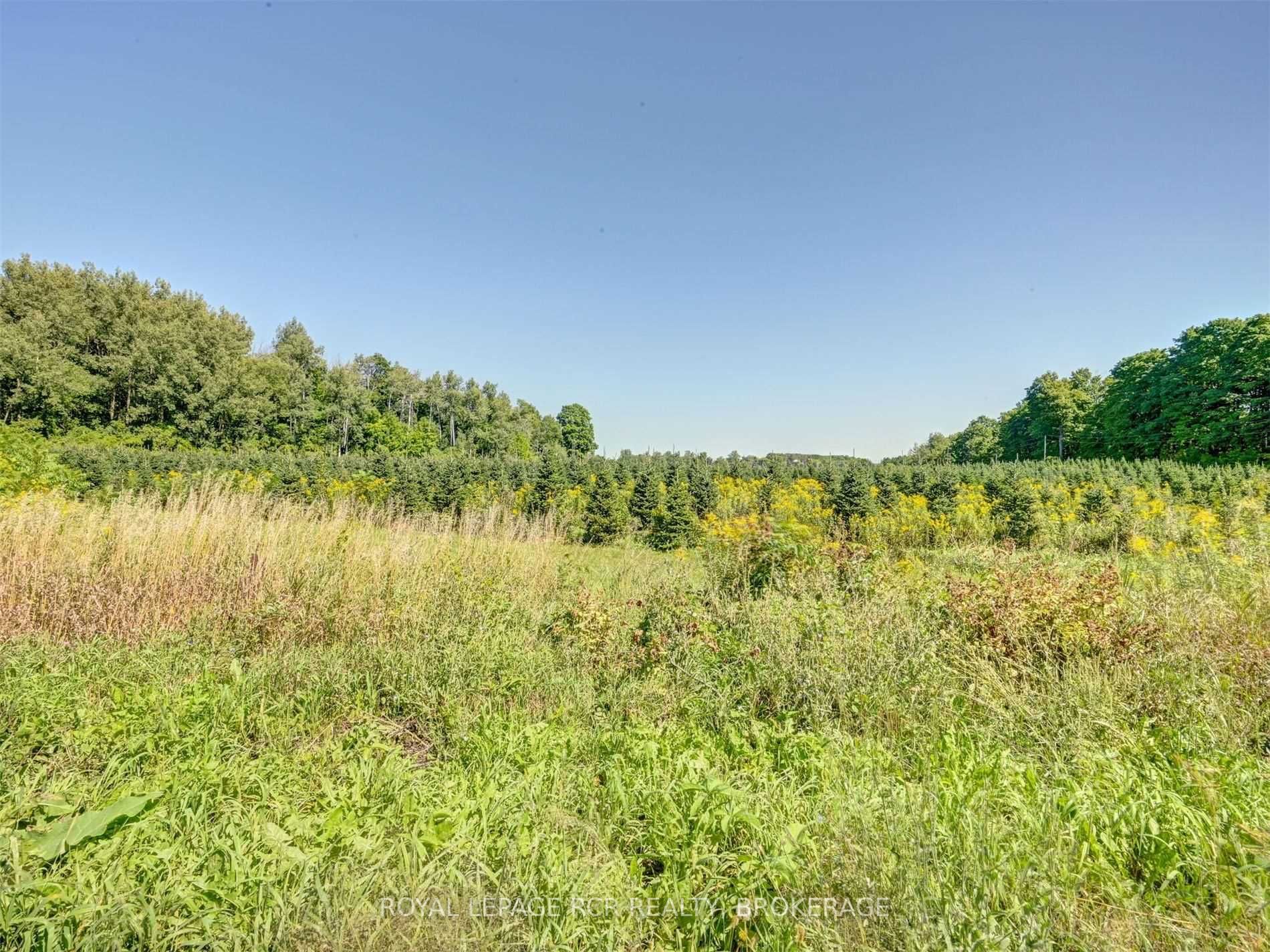 Listing X5762434 - Large Photo # 30