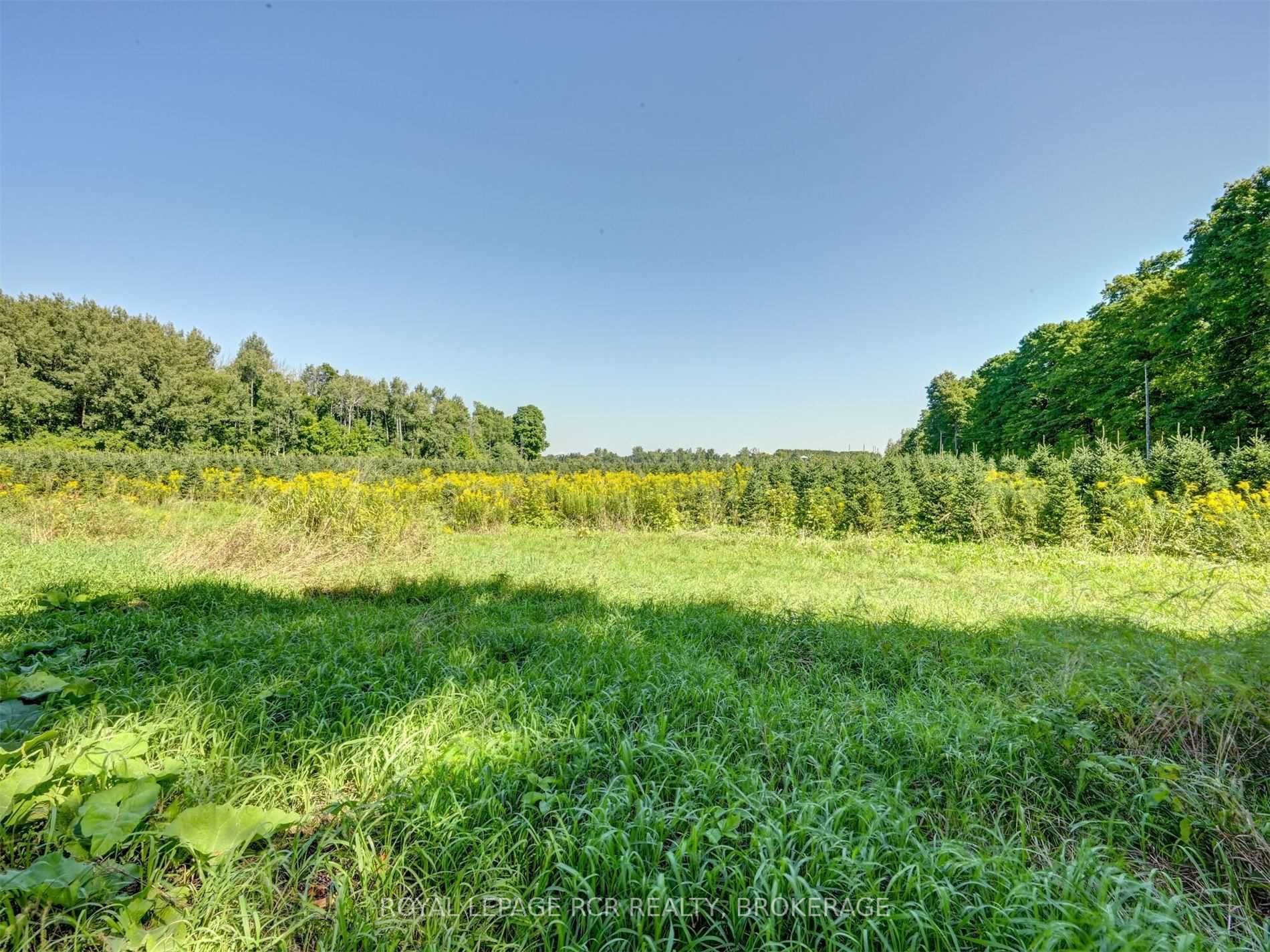 Listing X5762434 - Large Photo # 25
