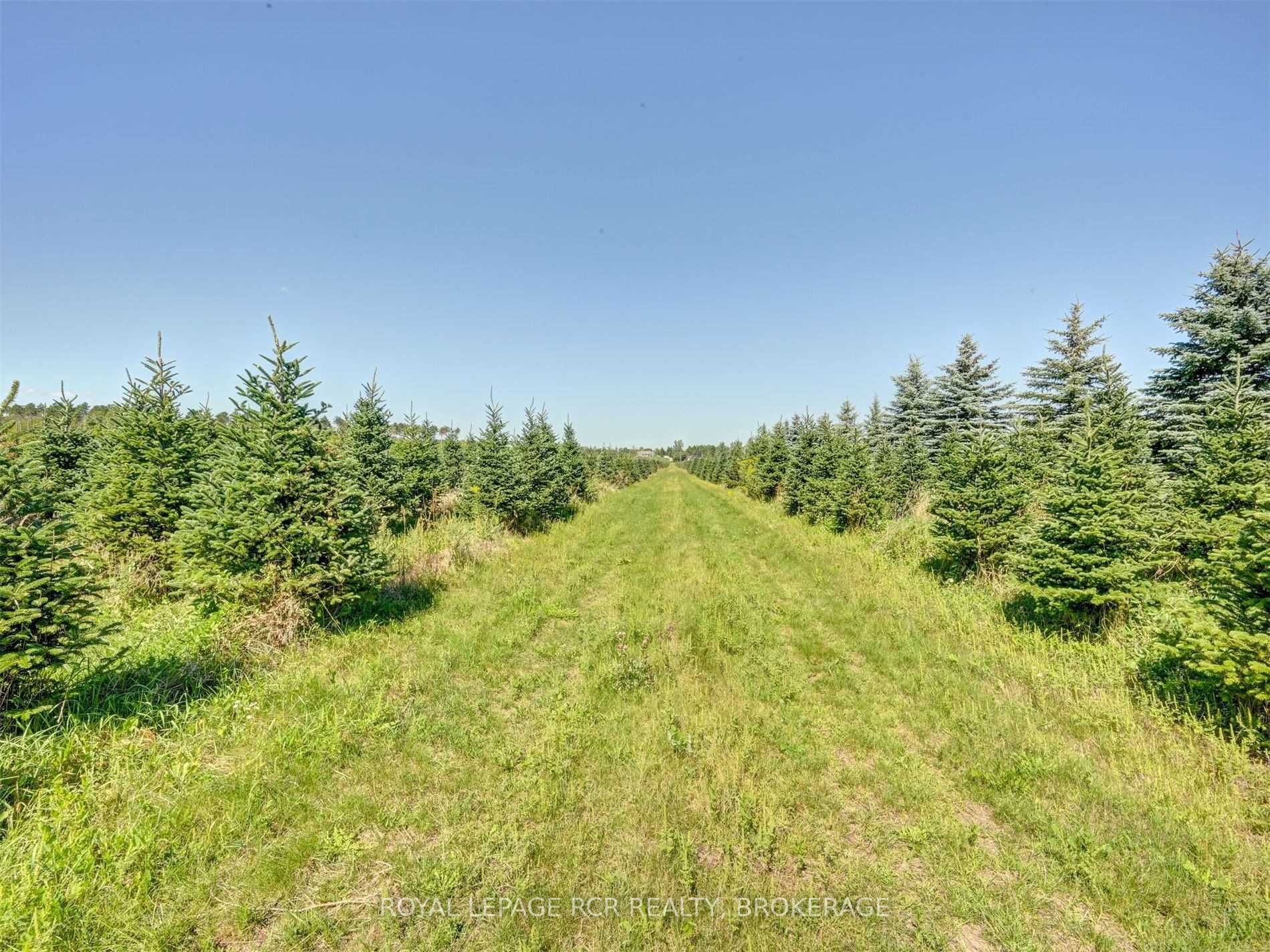 Listing X5762434 - Large Photo # 24