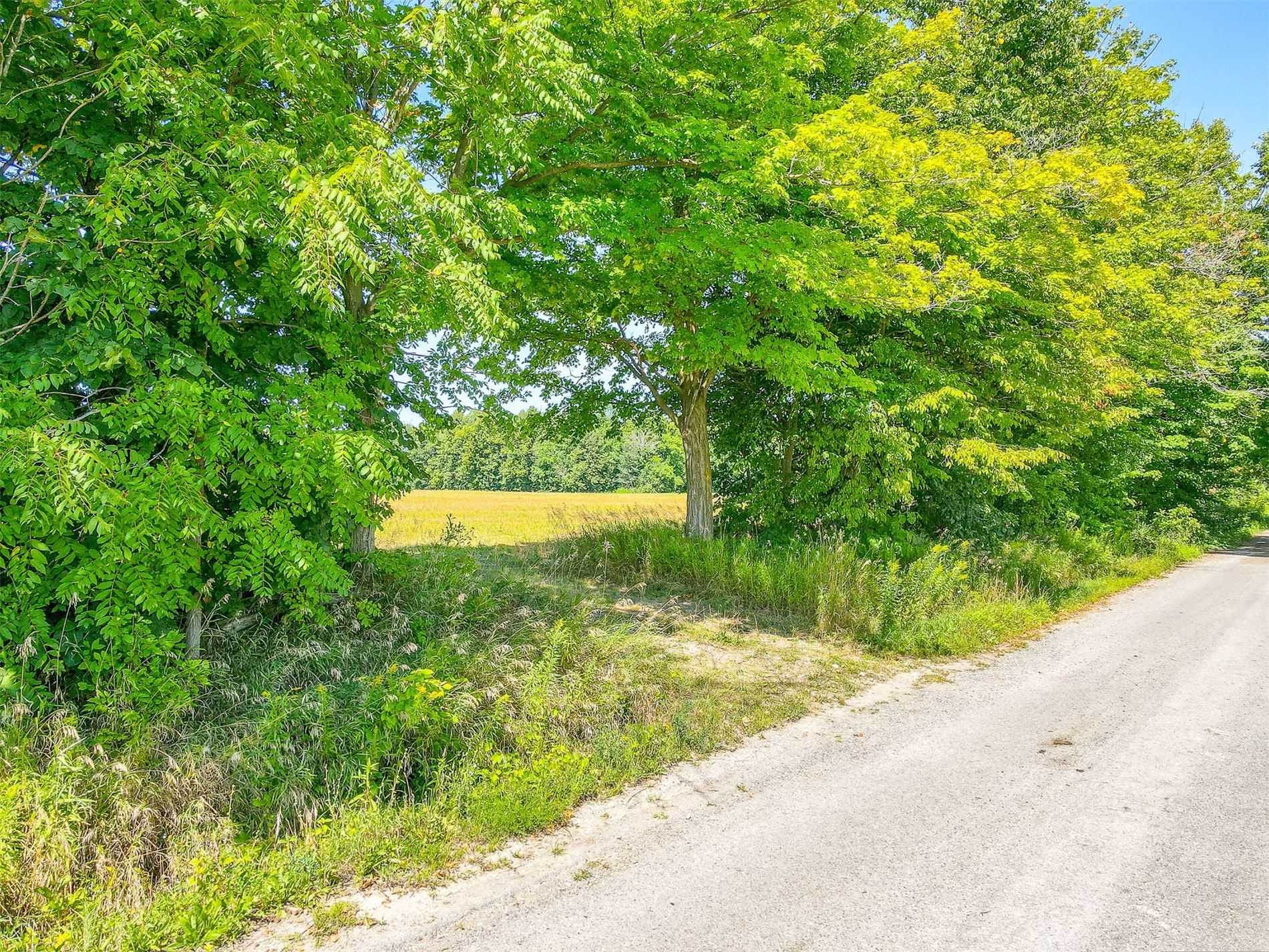 Listing X5769594 - Large Photo # 3