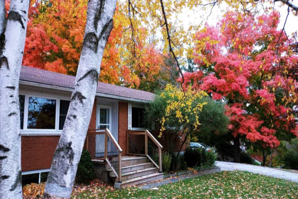 24 Halstead Rd, Alnwick/Haldimand