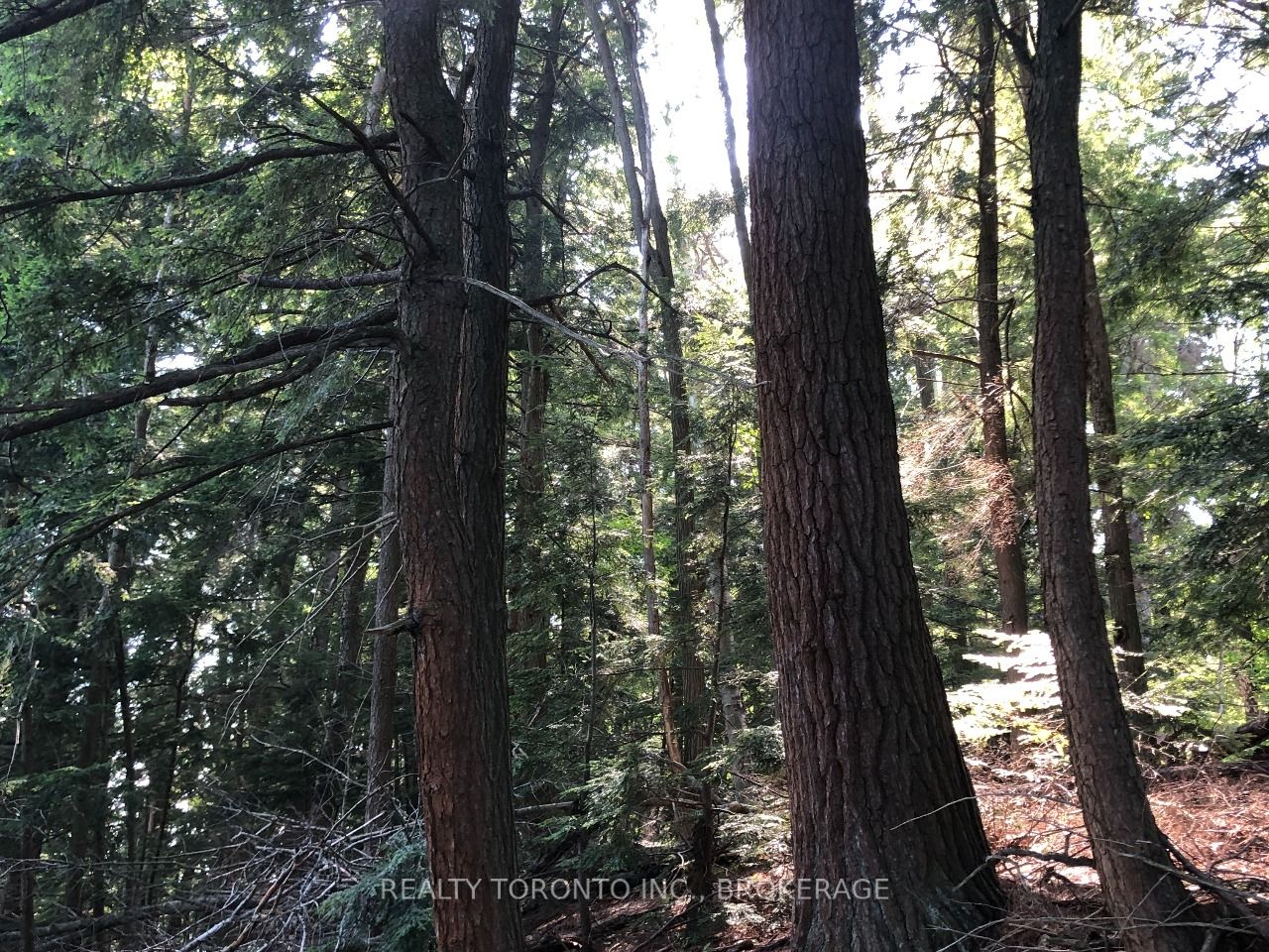 Listing X5774264 - Large Photo # 4