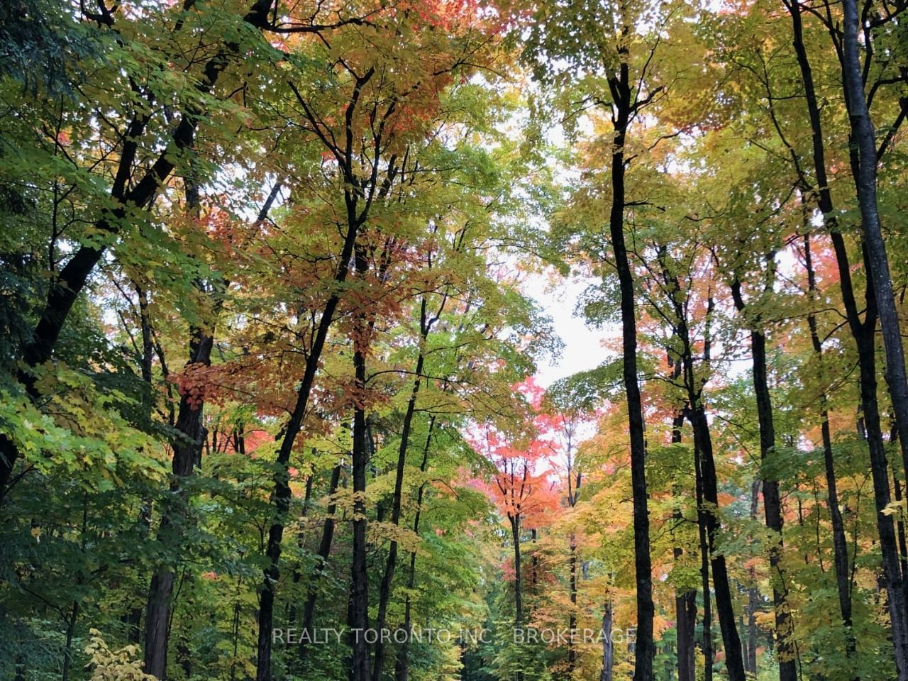 Listing X5774264 - Large Photo # 8