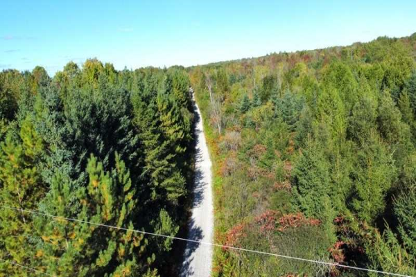 Lt 44 Ramblewood Tr, Kawartha Lakes