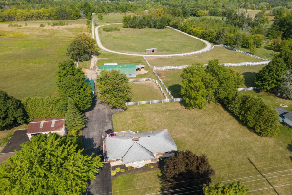107 Carlisle Rd, Hamilton