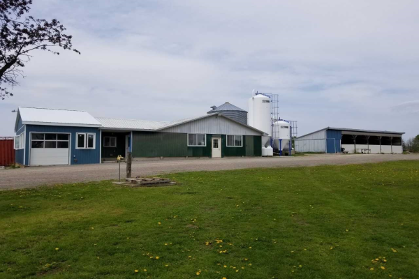 964 Hayes Line, Kawartha Lakes