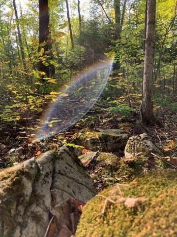 Listing X5791035 - Large Photo # 21