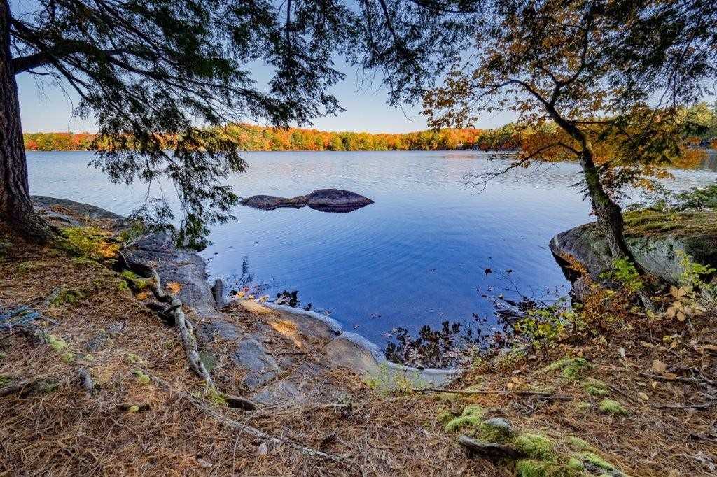 Listing X5793466 - Large Photo # 34