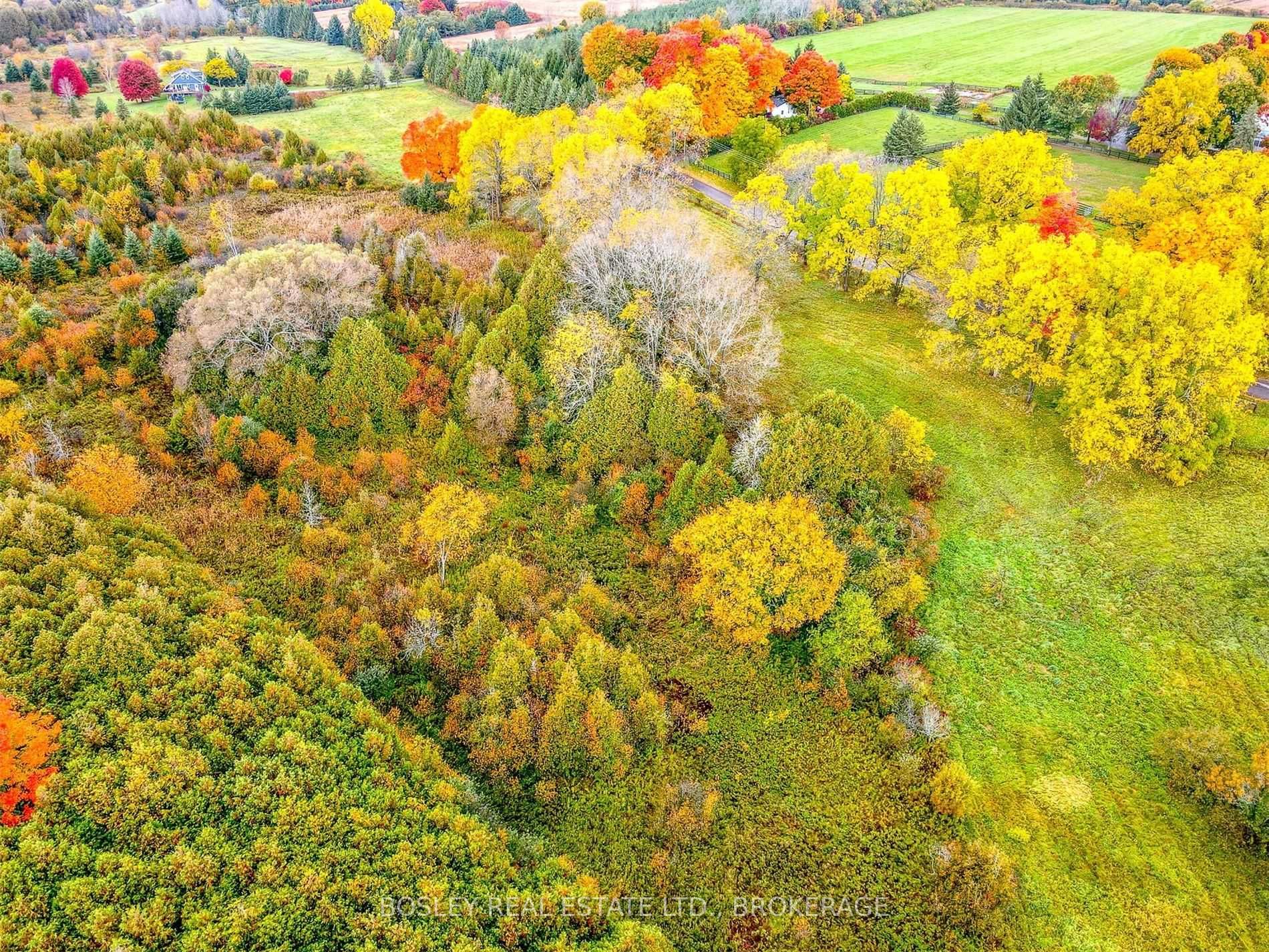 Listing X5796458 - Large Photo # 10