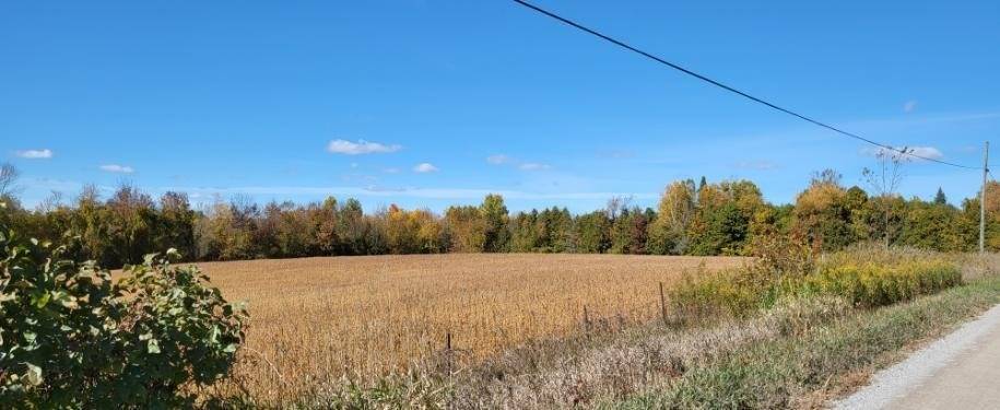 Listing X5796611 - Large Photo # 1