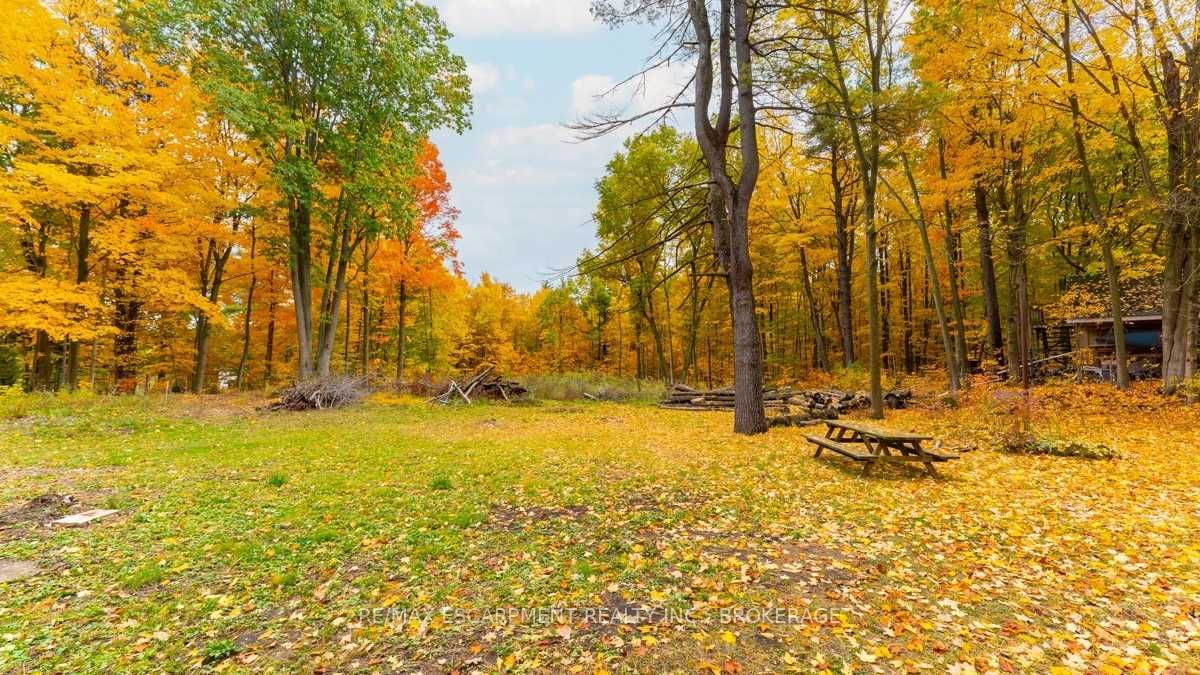 Listing X5803252 - Large Photo # 28