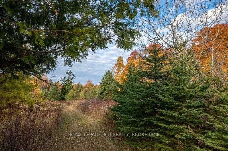 Listing X5808061 - Large Photo # 35