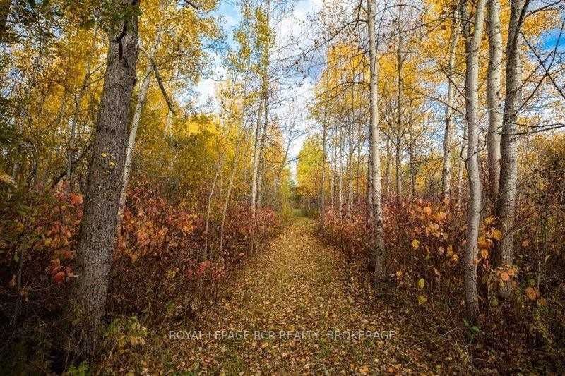 Listing X5808061 - Large Photo # 34
