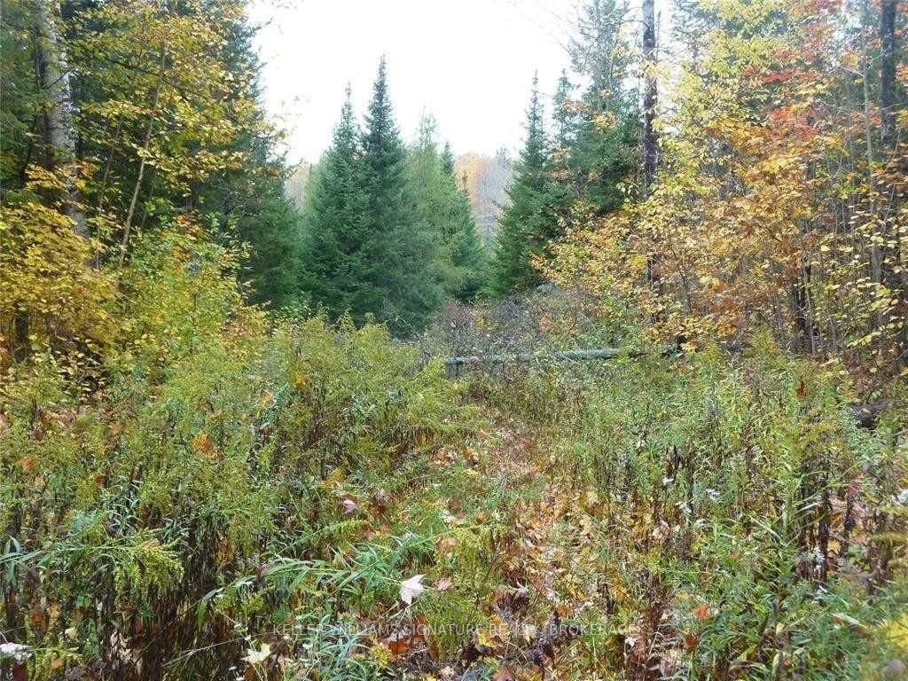 Listing X5808733 - Large Photo # 1