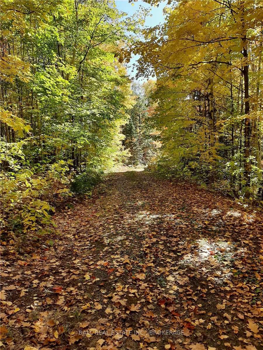 Listing X5814318 - Large Photo # 1