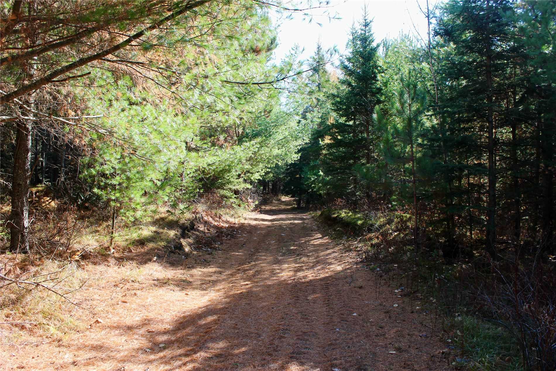 169 Burlanyett Rd