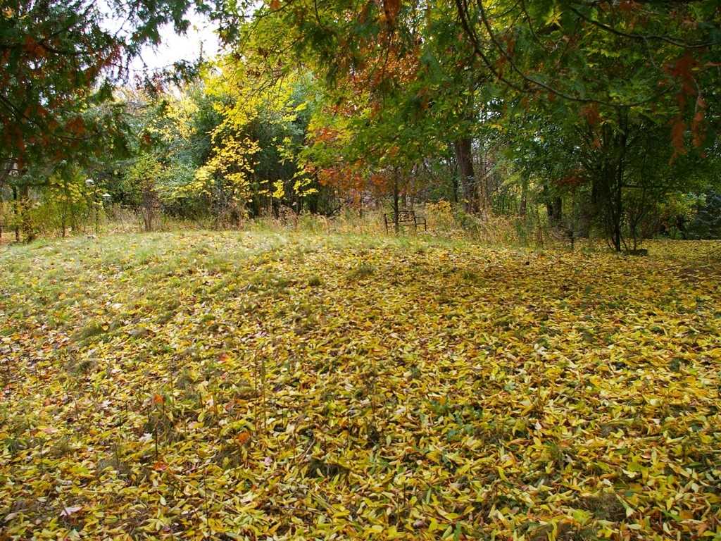 Listing X5819006 - Large Photo # 6