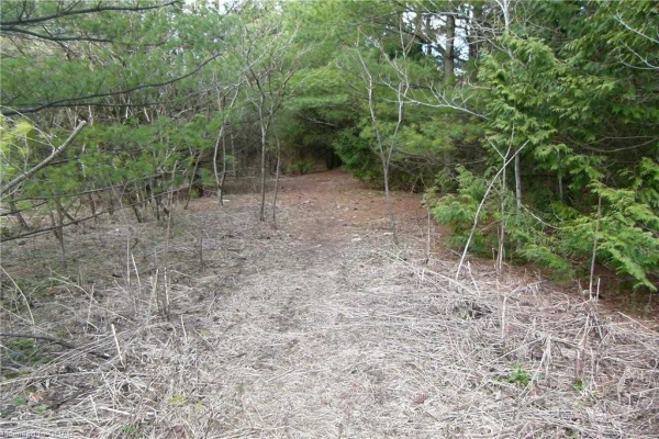 8256 Highway 7, Guelph/Eramosa