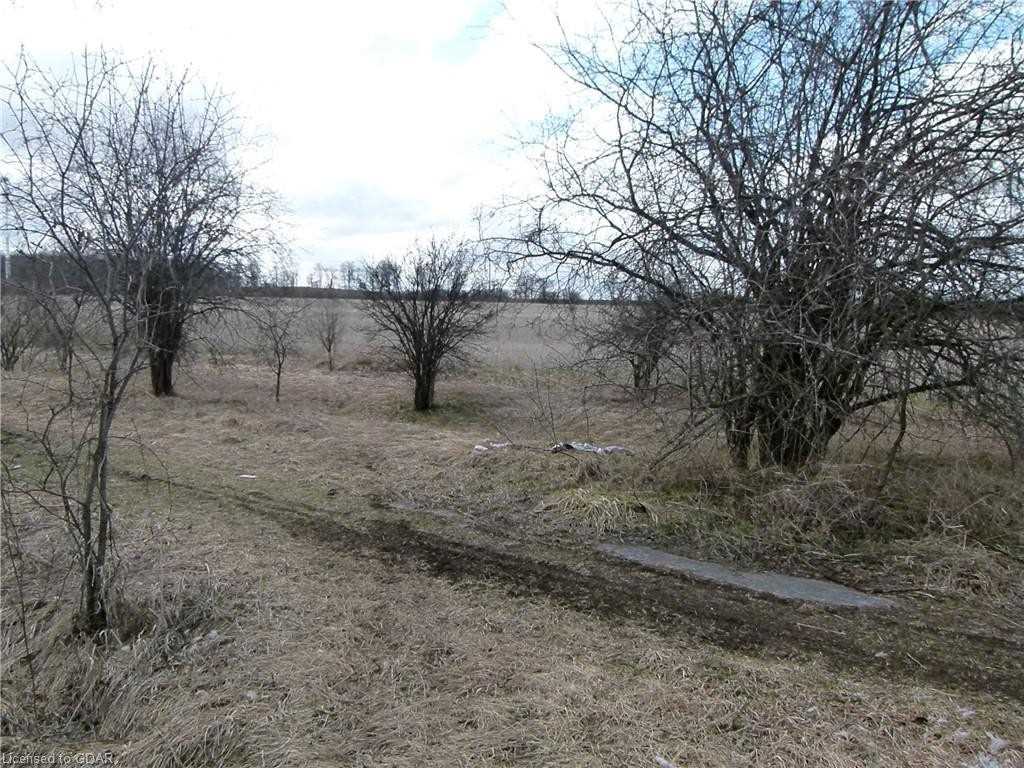 Listing X5820219 - Large Photo # 6