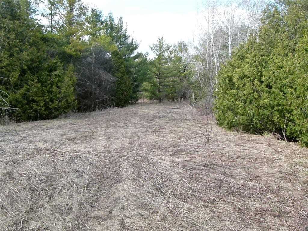 Listing X5820219 - Large Photo # 12