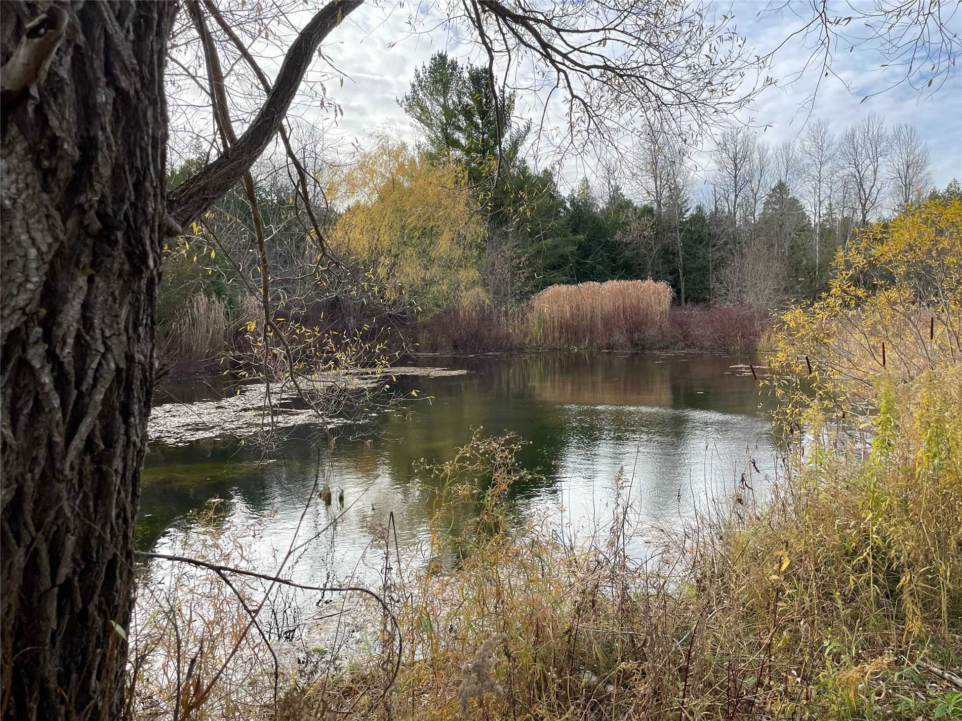 Listing X5820984 - Large Photo # 9