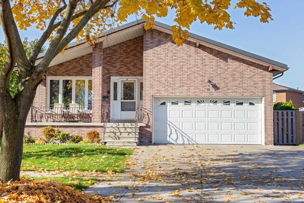 1B Ashwood Crt, Hamilton