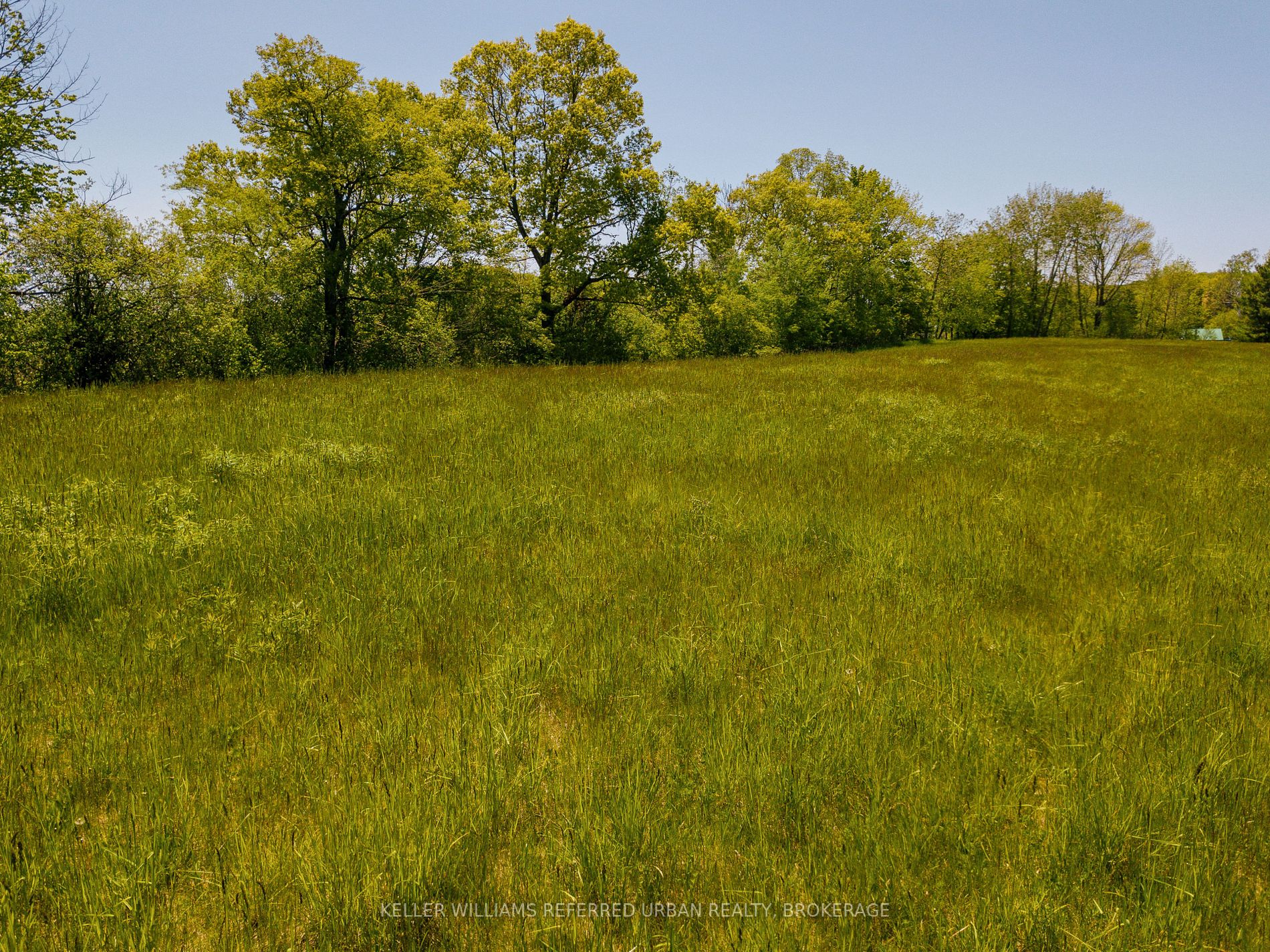 Listing X5825662 - Large Photo # 14