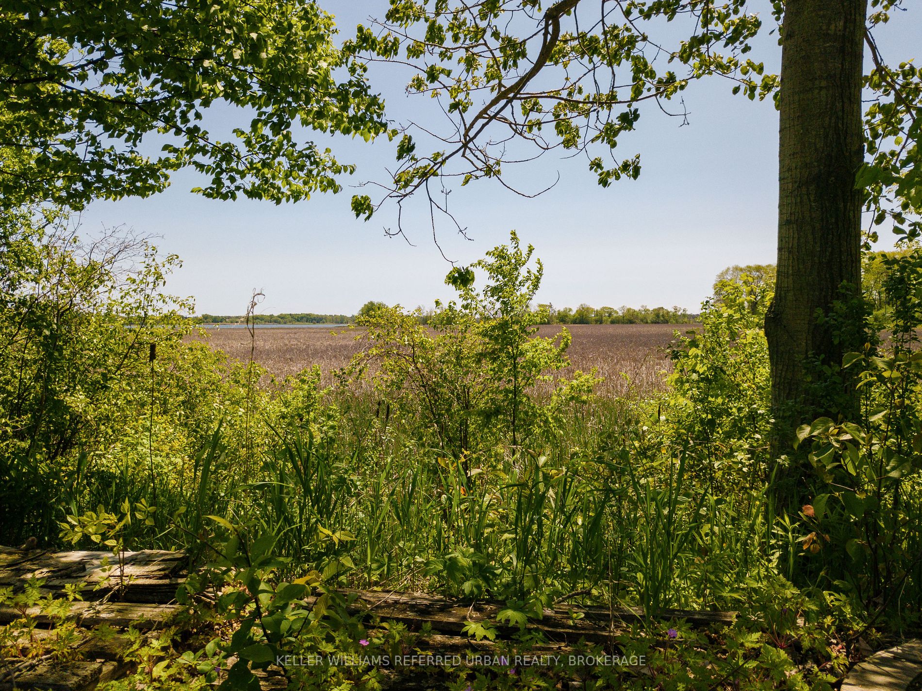 Listing X5825662 - Large Photo # 18