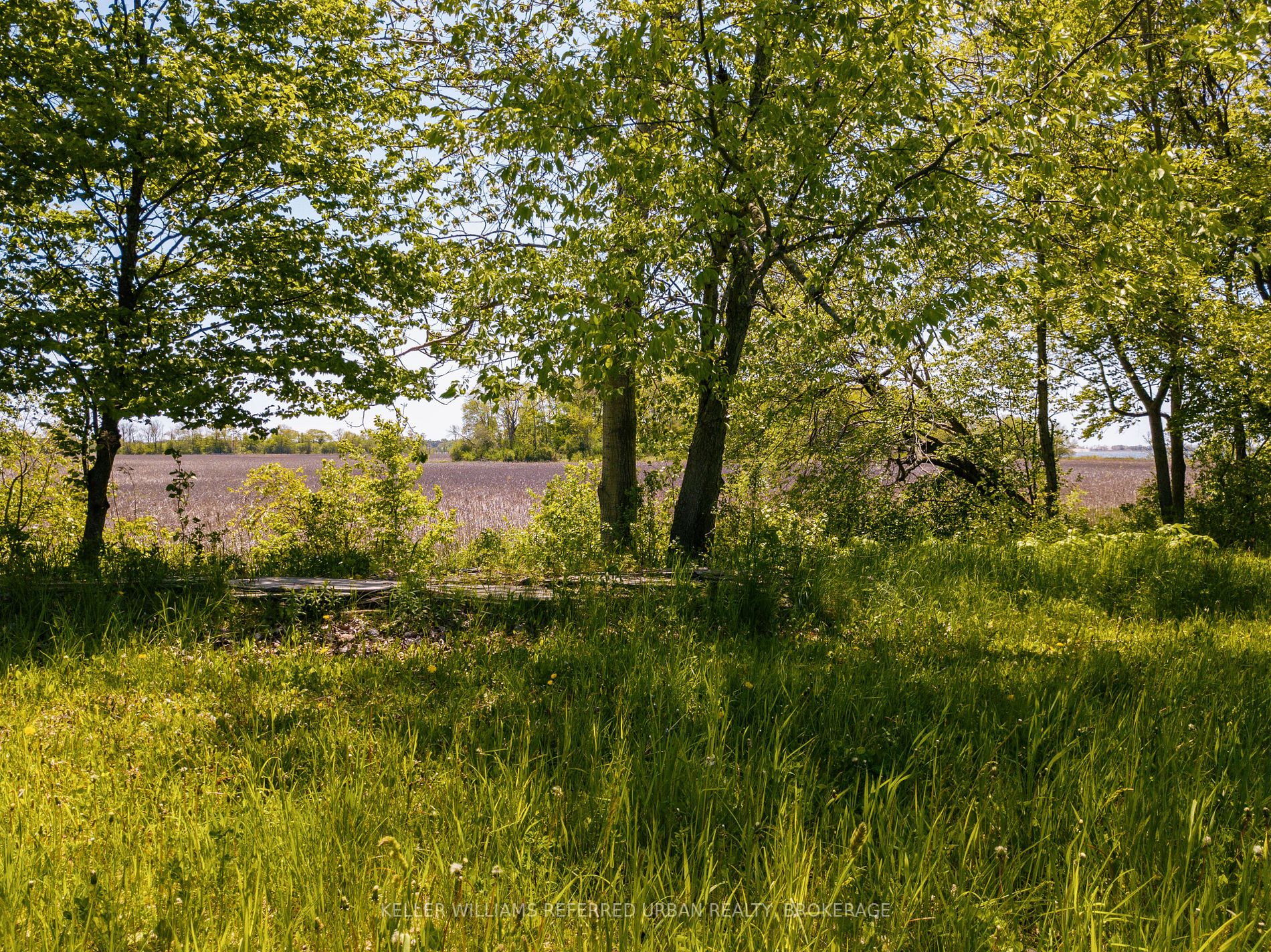 Listing X5825662 - Large Photo # 20