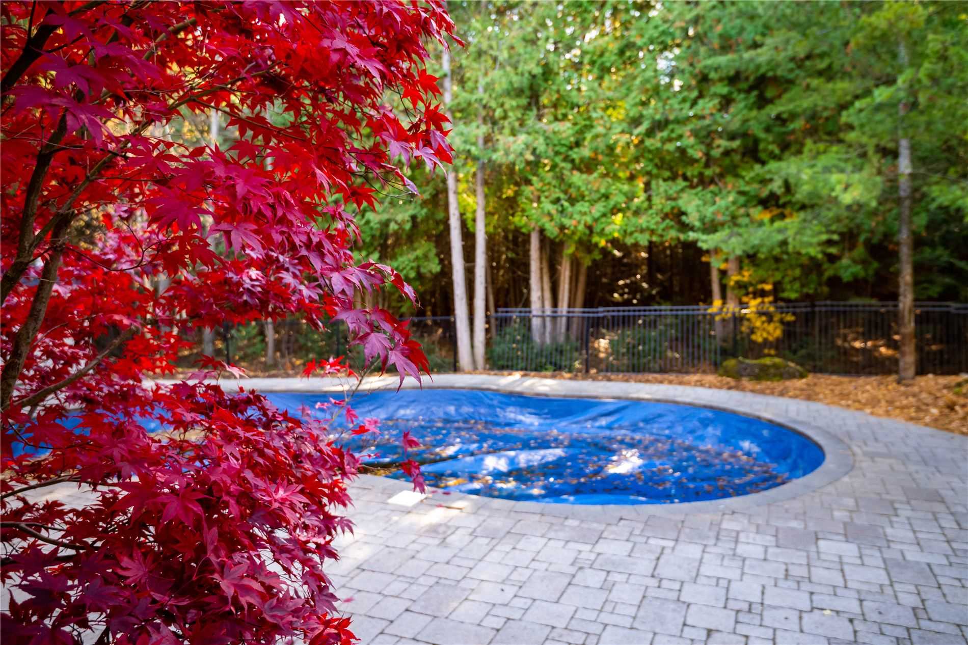 Listing X5827483 - Large Photo # 34