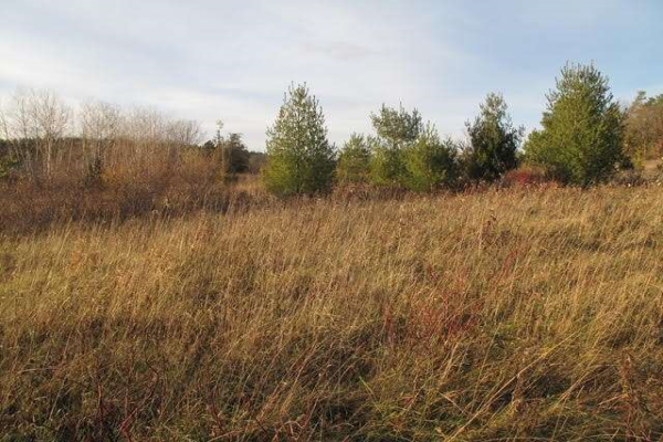 00 Campbell Rd, Trent Hills