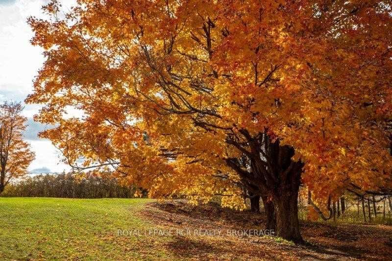 Listing X5828735 - Large Photo # 31