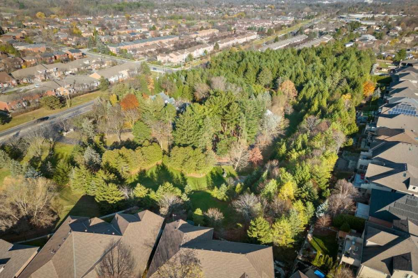 492 Governors Rd, Hamilton