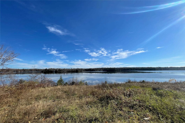 00 Highway 35 N, Kawartha Lakes