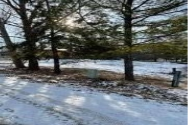 213 Pleasant Point Rd, Kawartha Lakes