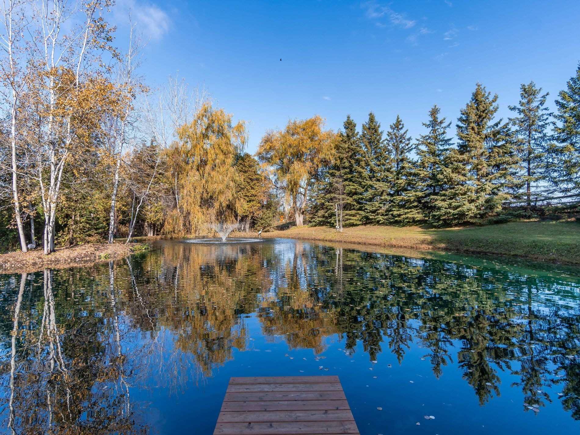 Listing X5862019 - Large Photo # 4