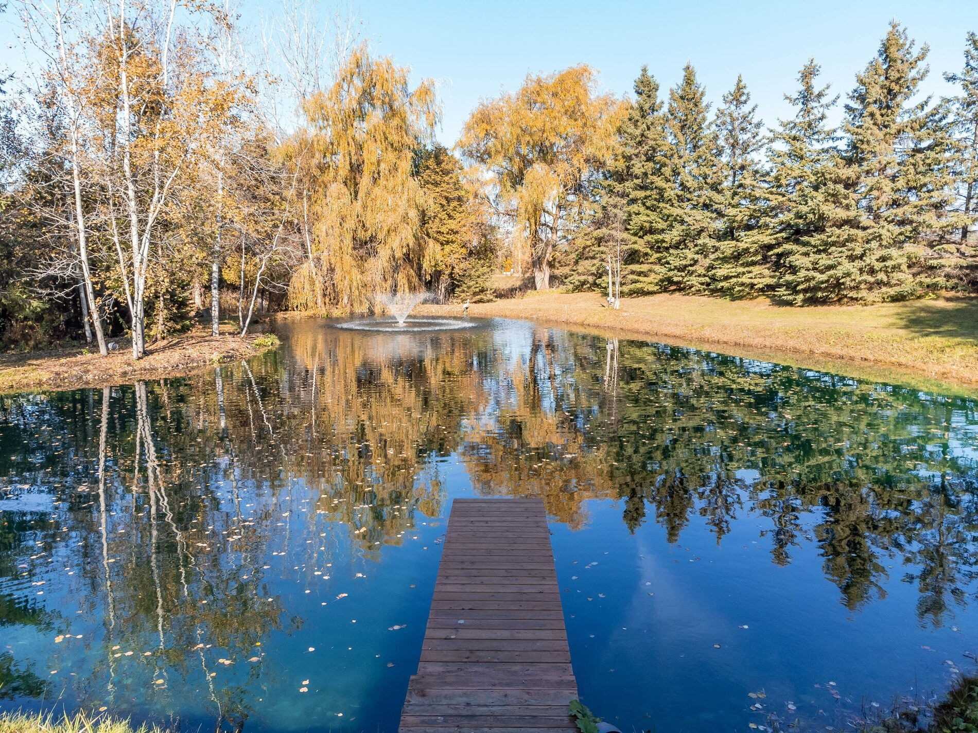 Listing X5862019 - Large Photo # 31