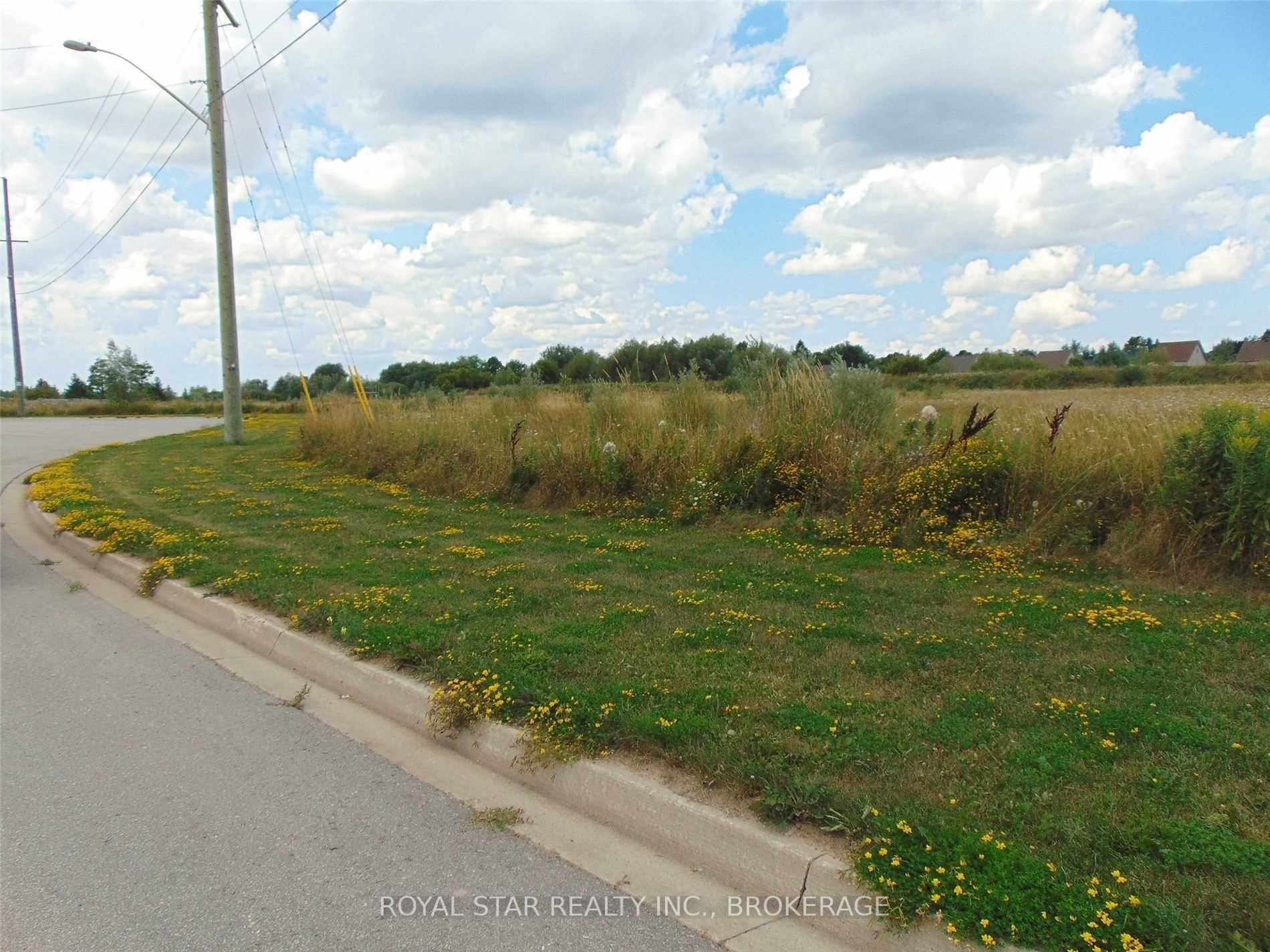 Listing X5863483 - Large Photo # 5