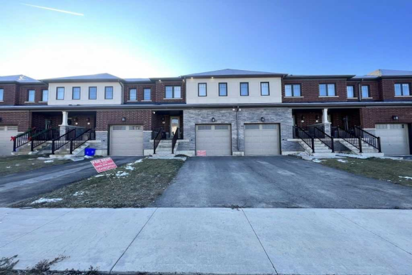 8 Utter Pl, Hamilton