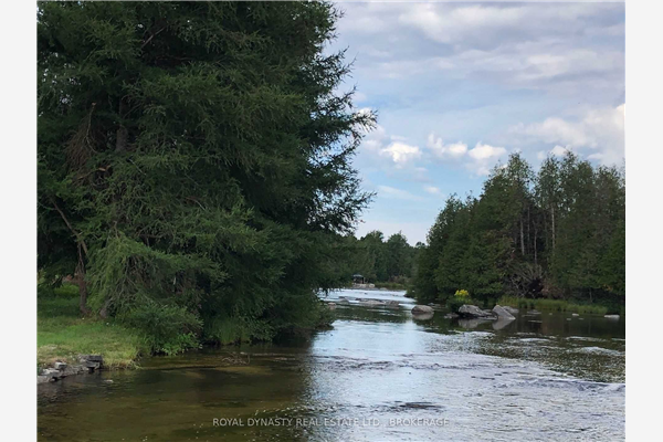 513 Sawmill Rd, Douro-Dummer