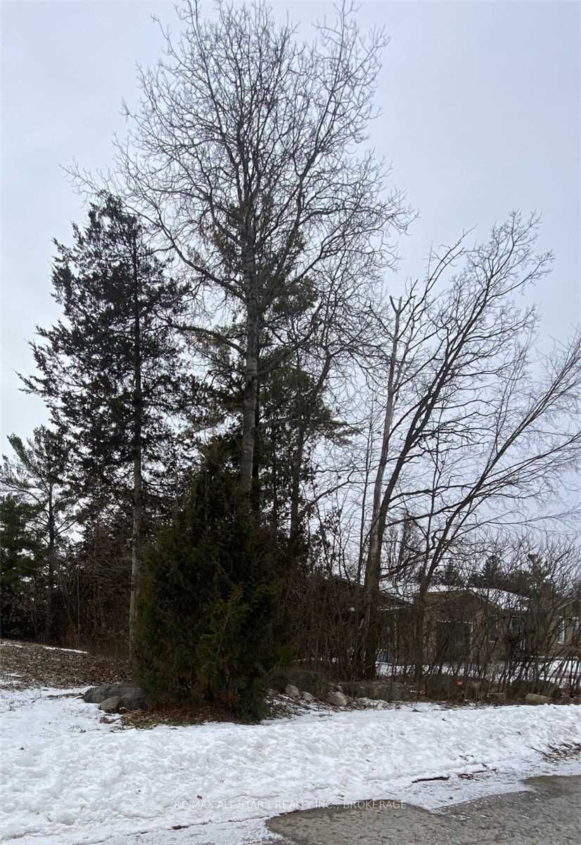 Listing X5866994 - Large Photo # 4