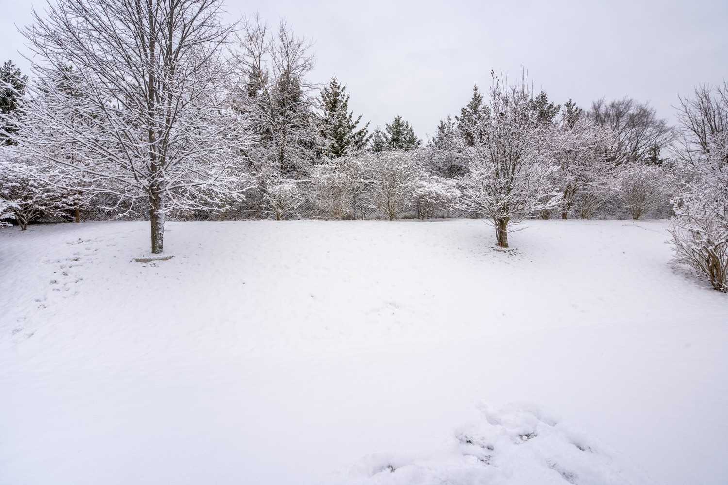 Listing X5871860 - Large Photo # 34