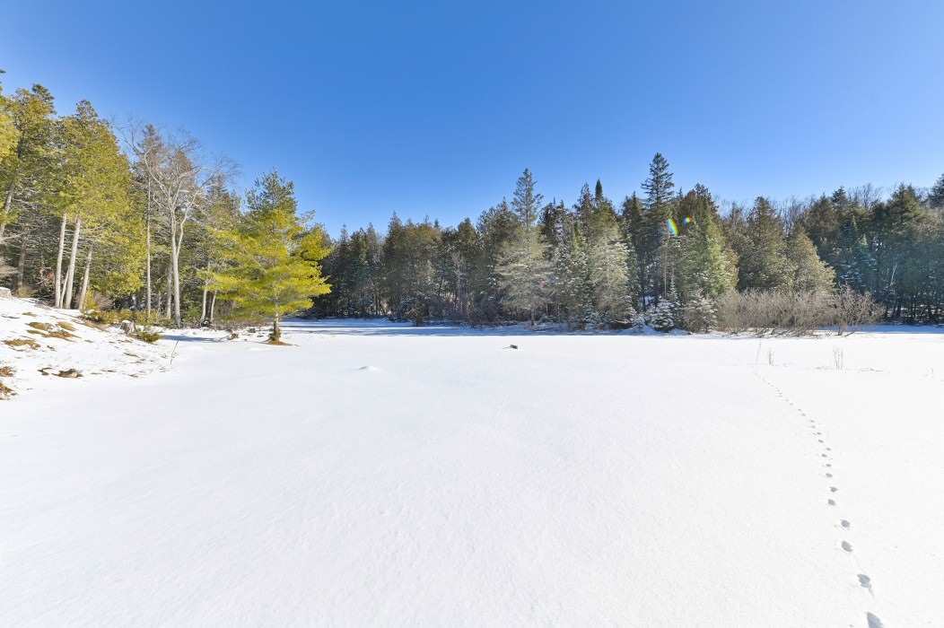 Listing X5874004 - Large Photo # 3