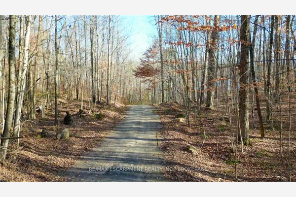 1079 Inawendawin Lot 3 Rd, Lake of Bays