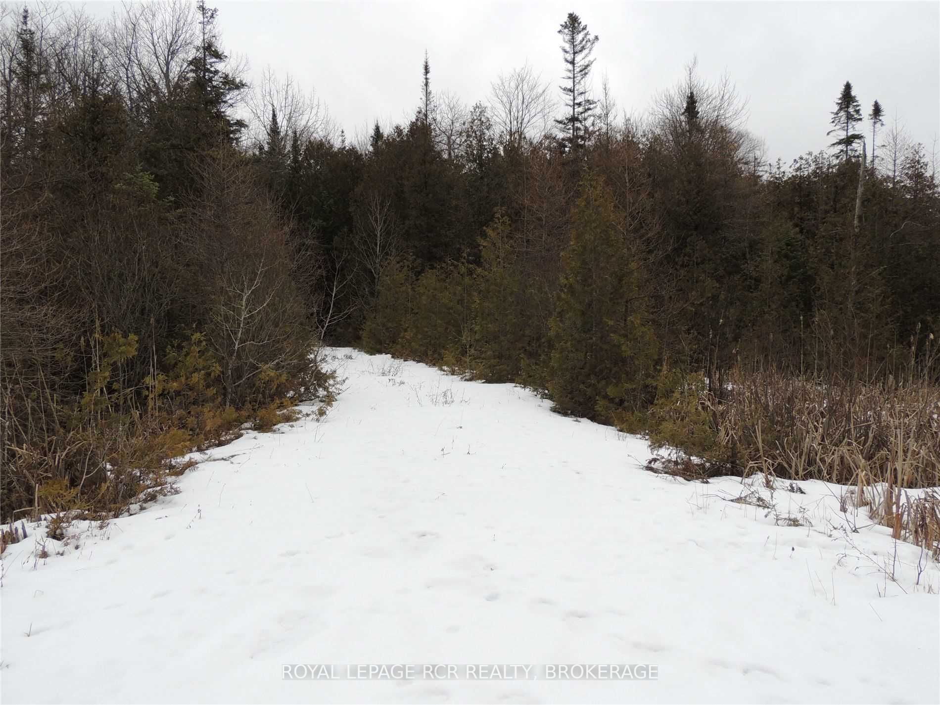 Listing X5878012 - Large Photo # 4