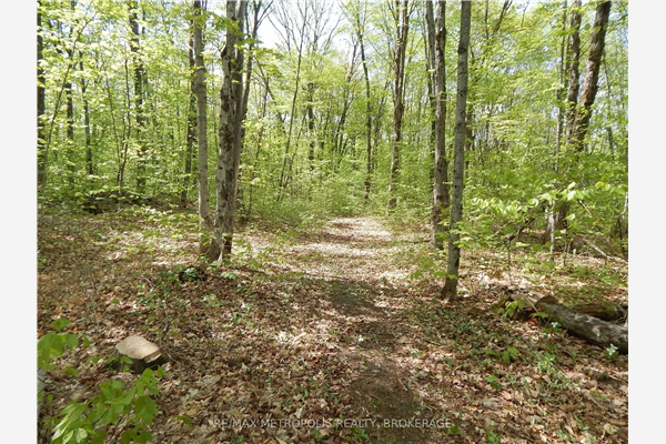 92 Lorimer Lake Rd, McDougall