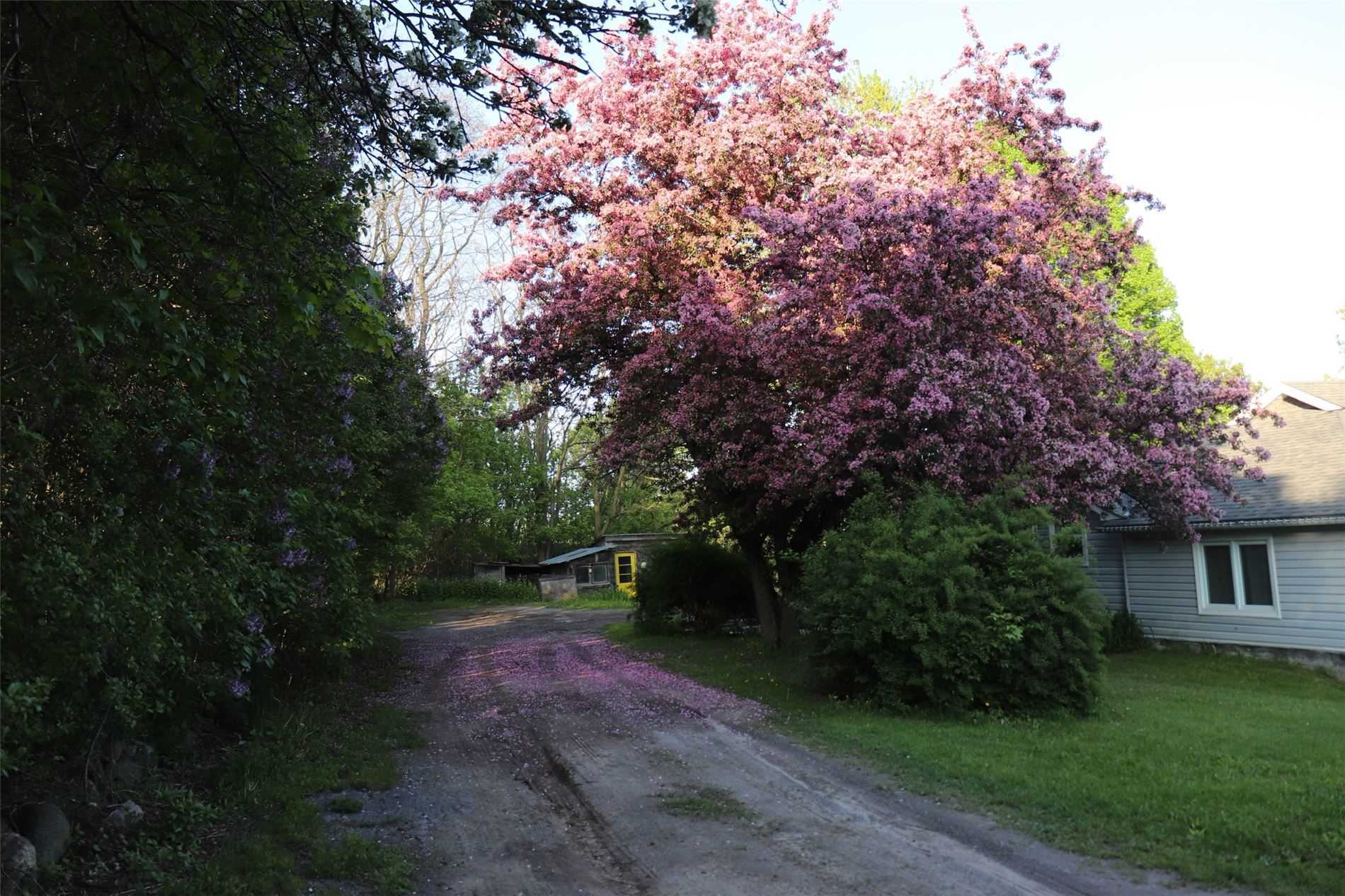 Listing X5881270 - Large Photo # 36
